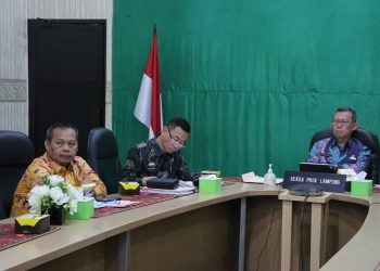 Sekdaprov Fahrizal Darminto Ikuti Rapat Koordinasi Persiapan Penetapan Upah Minimum Tahun 2023 yang Dilaksanakan Kemendagri